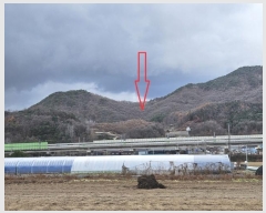  2024Ÿ3079  ֽ   21      (Ӿ)