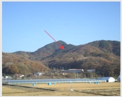  2024Ÿ3079  ֽ   21      (Ӿ)