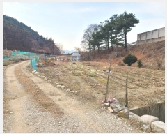  2024Ÿ3215  ֽ   276-6      ()