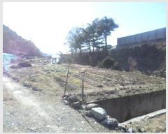  2024Ÿ3215  ֽ   276-6      ()