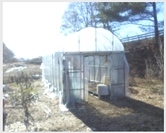  2024Ÿ3215  ֽ   276-6      ()