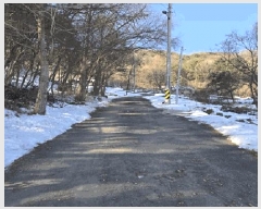  2024Ÿ3277  Ⱦ г й泻 230-32      (Ӿ)