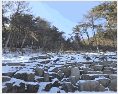  2024Ÿ3277  Ⱦ г й泻 230-32      (Ӿ)