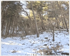  2024Ÿ3277  Ⱦ г й泻 230-32      (Ӿ)