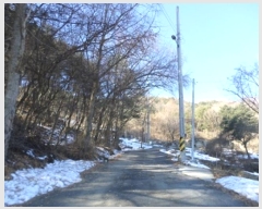  2024Ÿ3277  Ⱦ г й泻 230-32      (Ӿ)