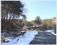  2024Ÿ3277  Ⱦ г й泻 230-32      (Ӿ)