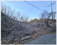  2024Ÿ3352  ֽ ȣ  783-48      ()