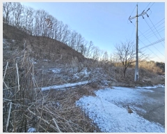  2024Ÿ3352  ֽ ȣ  783-48      ()