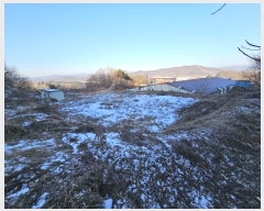  2024Ÿ3352  ֽ ȣ  783-48      ()