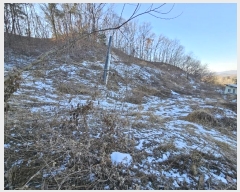  2024Ÿ3352  ֽ ȣ  783-48      ()