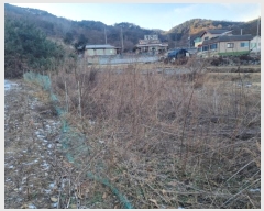  2024Ÿ��3413  �����