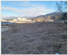  2024Ÿ��3413  �����