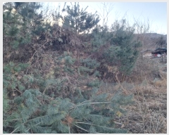  2024Ÿ��3413  �����