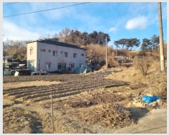  2024Ÿ��3413  �����