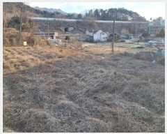  2024Ÿ��3413  �����