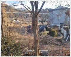  2024Ÿ��3413  �����