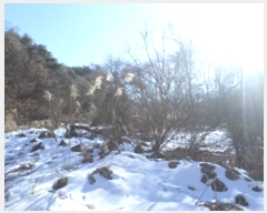  2024Ÿ3451  Ⱦ õ ϱø 112      (1)