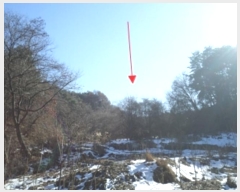  2024Ÿ3451  Ⱦ õ ϱø 112      (1)