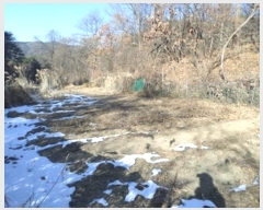  2024Ÿ3451  Ⱦ õ ϱø 112      (1)