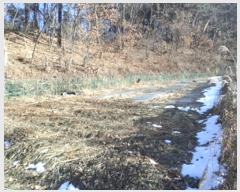  2024Ÿ3451  Ⱦ õ ϱø 112      (1)