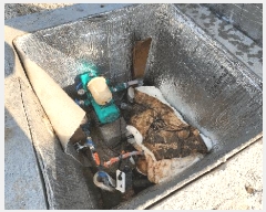  2024Ÿ��3529  �ٸ����ð��