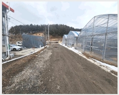  2024Ÿ��3550  ���ð��