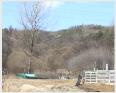  2024Ÿ��400021  ����