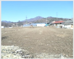  2024Ÿ��400021  ����