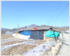  2024Ÿ��400021  ����