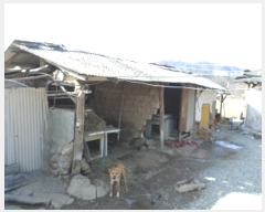  2024Ÿ��400021  ����