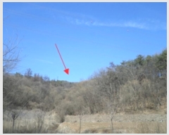  2024Ÿ��400021  ����