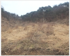  2024Ÿ400090  ֽ   1443-2      ,â