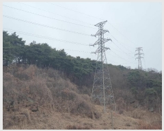  2024Ÿ400090  ֽ   1443-2      ,â