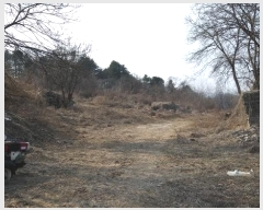  2024Ÿ��401031 ���� ���ֽ� ���ʸ� ��縮 174-1      ����(�������)���