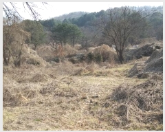  2024Ÿ��401031 ���� ���ֽ� ���ʸ� ��縮 174-1      ����(�������)���