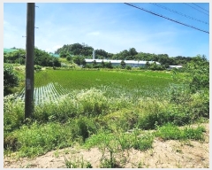  2024Ÿ��403150  ����