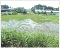  2024Ÿ��403150  ����