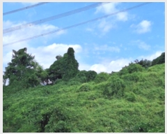  2024Ÿ404139  ֽ ͷ  235-2      (1)