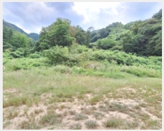  2024Ÿ404139  ֽ ͷ  235-2      (1)