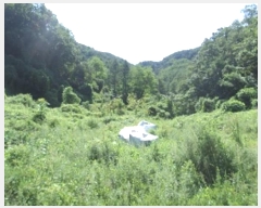  2024Ÿ404139  ֽ ͷ  235-2      (1)