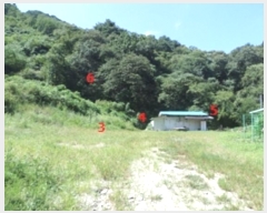  2024Ÿ404139  ֽ ͷ  235-2      (1)