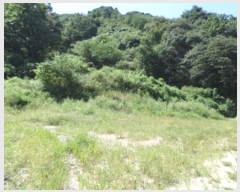  2024Ÿ404139  ֽ ͷ  235-2      (1)