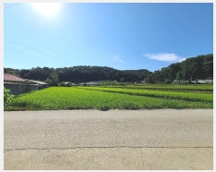  2024Ÿ404450  Ⱦ Ⱦ  576-1      ð