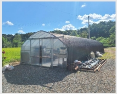  2024Ÿ404450  Ⱦ Ⱦ  576-1      ð