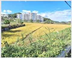  2024Ÿ��404597  ����