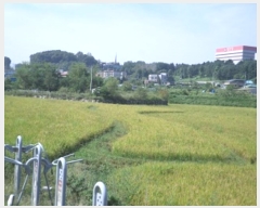  2024Ÿ��404597  ����