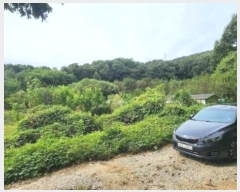  2024Ÿ404665  ֽ ȣ ֻ긮 1093-1      (1)