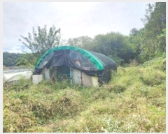  2024Ÿ404665  ֽ ȣ ֻ긮 1093-1      (1)