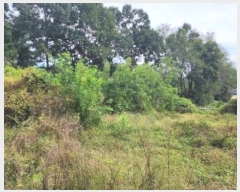  2024Ÿ404665  ֽ ȣ ֻ긮 1093-1      (1)