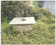  2024Ÿ404665  ֽ ȣ ֻ긮 1093-1      (1)